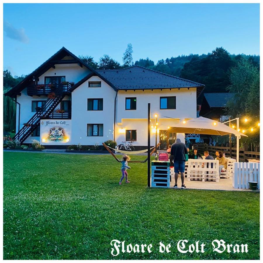 Floare de Colț-Bran Hotel Bran  Exterior foto