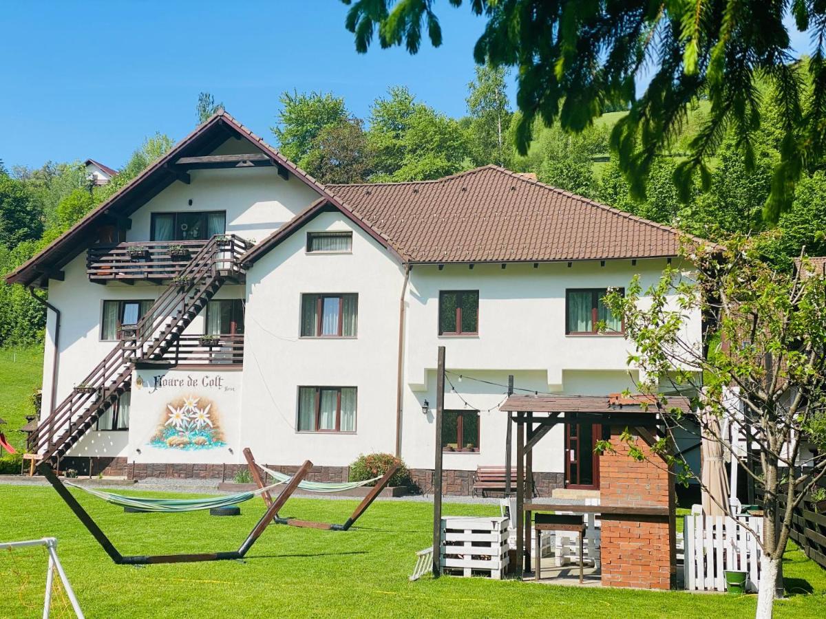 Floare de Colț-Bran Hotel Bran  Exterior foto