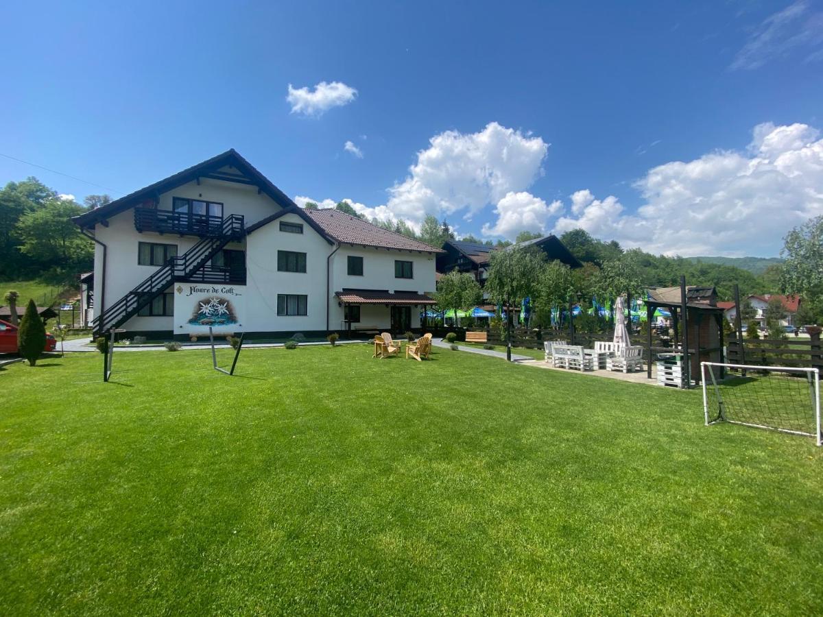 Floare de Colț-Bran Hotel Bran  Exterior foto